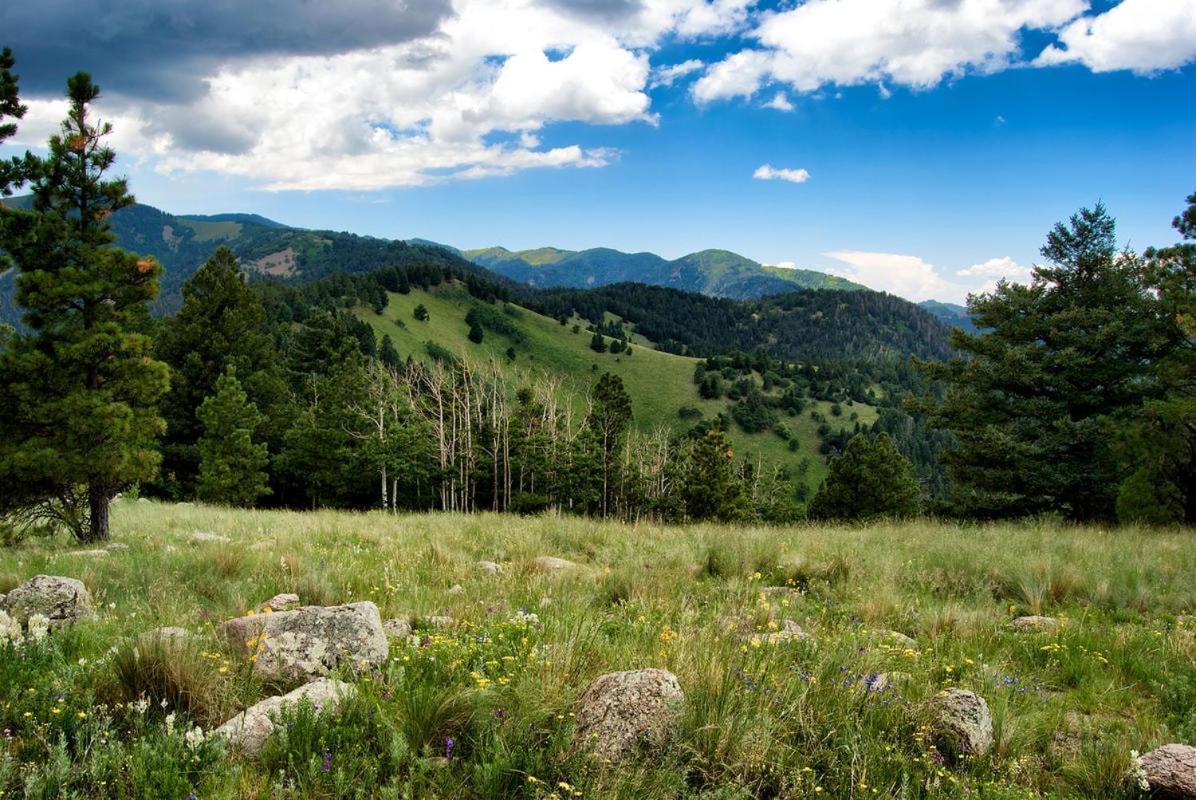 Windchaser, 1 Bedroom, Wood Burning Stove, Midtown, Sleeps 3 Ruidoso Esterno foto